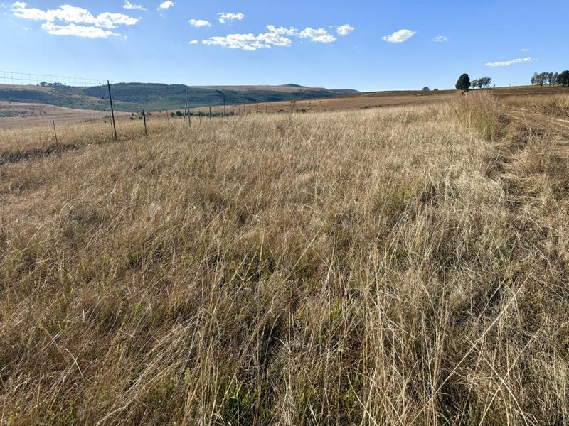 0 Bedroom Property for Sale in Harrismith Free State